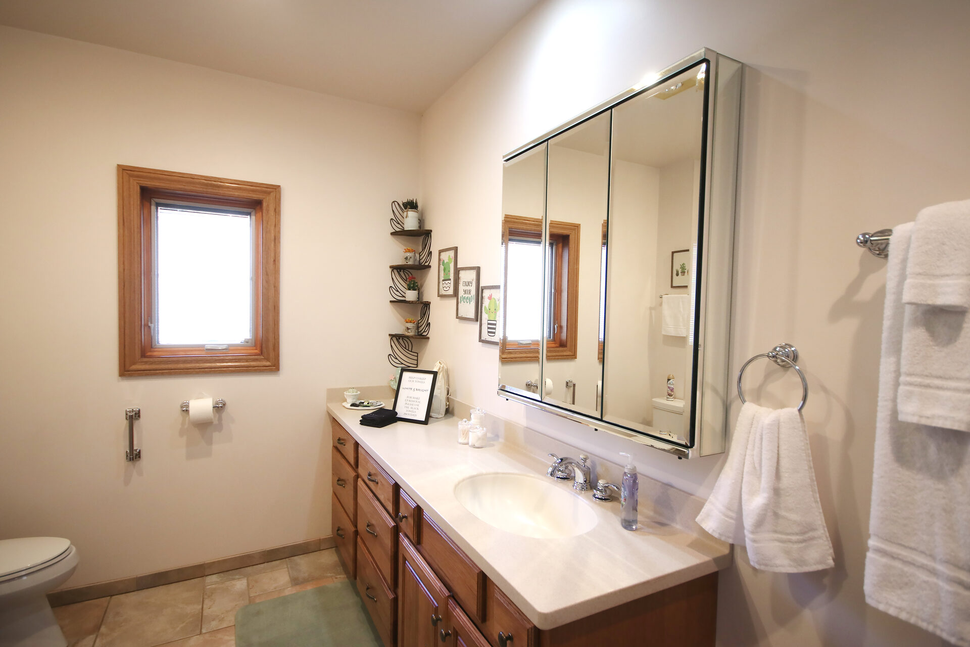Master bathroom — vanity